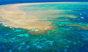 Australia's Great Barrier Ree