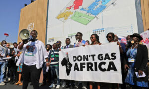 Climate, COP27, Delegates