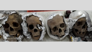 Four Human Skulls Discovered in Package Headed to US at Mexican Airport