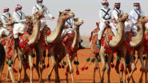 King Abdulaziz Camel Festival is to be Held on Thursday in Riyadh