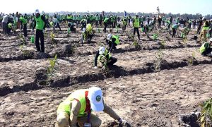 CDA, Islamabad, Plantation Drive