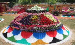 Flower exhibition, university, agriculture