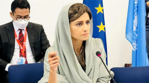 Hina Rabbani Khar, Germany, Ties, cooperation, energy, education