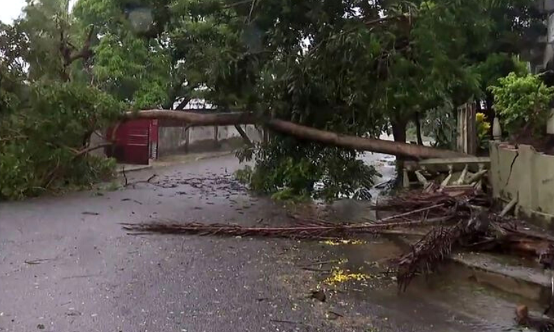 Malawi, Mozambique, Cyclone, Rains, Storm, Government, Rescue, Winds, Red Cross