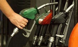 Ogra, Recommends, cut, petroleum, price.