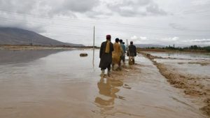 Rains, Houses, Meteorological Department