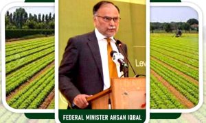 Agriculture, Department, Director, Federal Minister