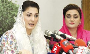 Maryam Nawaz, Khan, PTI, PML-N, Government, Lahore, Law, April, Organization, Prime Minister