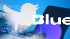 Twitter, government, Blue Tik, Available, Elon Musk