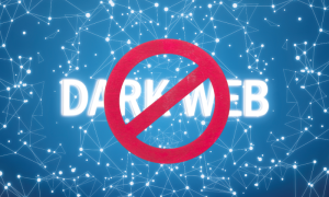 Global Law Enforcement Seizes Dark Web Marketplace