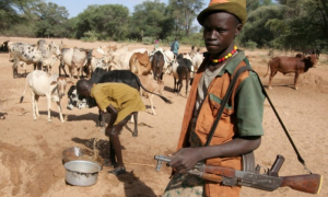 Nigeria, Fighting, Farmer, Herder, Abuja, Benue, Governor, Government, Northwest,