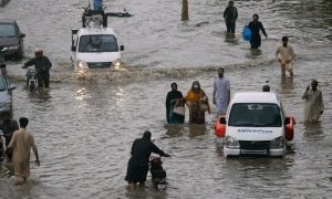 Sherry Rehman, Climate Change, Rainfall, Pakistan, Minister, NDMA, Earthquake, United Nations, Agriculture