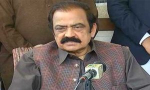 Rana Sanaullah, Pakistan Muslim League Nawaz, PML-N, Rana Sanaullah, Nawaz Sharif, Central Working Committee, CWC,