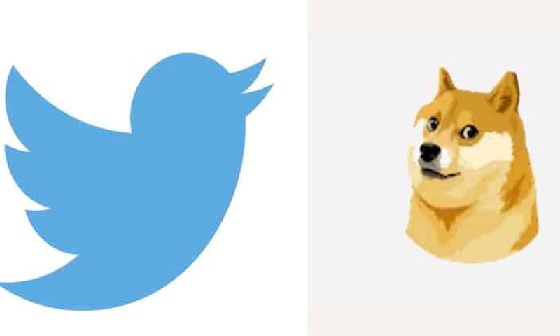 Twitter, Elon Musk, Doge, Meme, Social Media, Tweet, AI, Blue Bird