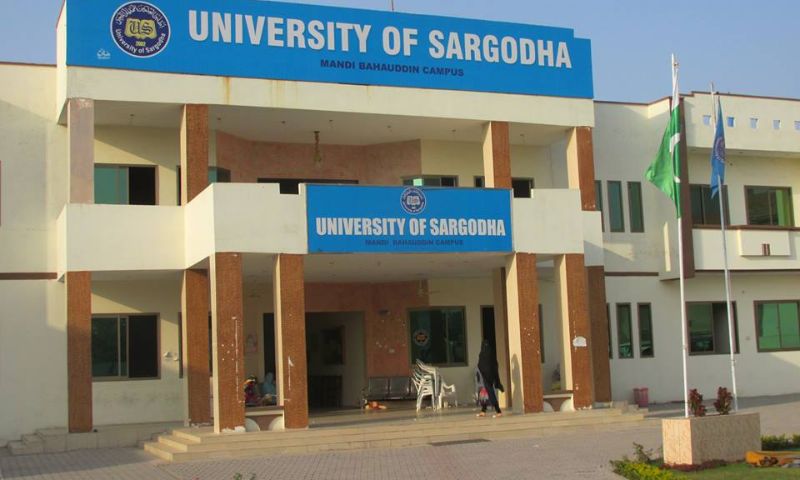 Culture, University, peace, society, Diversity, University of Sargodha, Education,