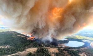 Wildfire, Alberta, Canada, firefighting