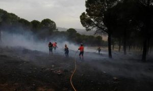 Wildfire, emergency services, Spain, officials, TV,