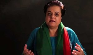 LHC, Release, PTI, Shireen Mazari