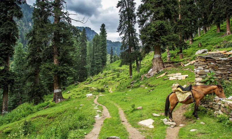 Siran Valley, Mansehra, Tourists, Pakistan