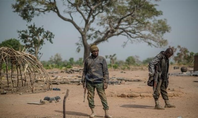 Nigeria, farmers, herds