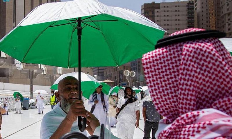 Holy Mosques