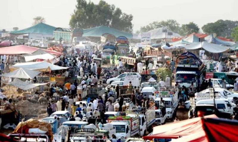 Islamabad, Cattle Markets, Traffic, Transporter, CDA, Pakistan, Bani Gala, Park Road, Shehzad Town