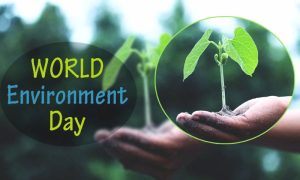 Pakistan, Prime Minister, Shehbaz Sharif, Government, Action, Plastic Pollution, Plastic, World Environment Day, Climate Change, Ministry