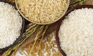 Pakistan, Export, More, Rice, Russia, USA, Australia. Europe, Asia