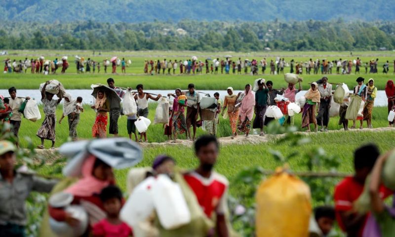 Rohingya