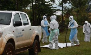 Tanzania, Marburg, Virus, Outbreak, WHO, Disease, Angola, South Africa, Kenya, Congo, German, City, Guinea, Blood, Ebola, UN, World Health Organization, Uganda