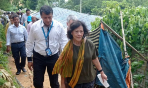 UN Special Ambassador for Myanmar to Step Down: UN Official