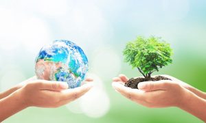 Climate change, Experts, Demands, Subject, Curriculum, World Environment Day, Laws, Protection, Plastic, Question, Attitudes