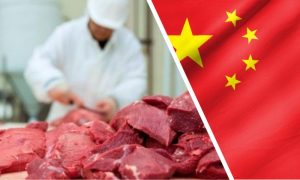 Pakistani, Exporters, Explore, Billion, Chinese, beef, market, Pakistan, China, Ambassidor