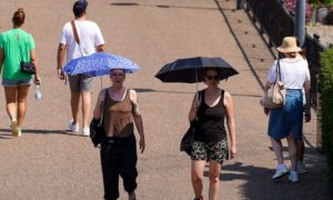 Mexico, City, Heatwave, Climate Change, Government, Monterrey, Rainfall, Emergency, Mexico City, Nuevo Leon,