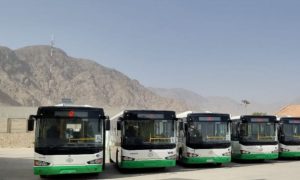 Green Bus, Balochistan, Service, Started, Today