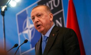 Erdogan, Sweden, NATO, Turkish, Recep Tayyip Erdogan, Turkey, Ukraine, Russia, Volodymyr Zelensky, US, Brussels, Ankara, Kurdish, Nordic,