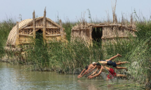 Marshes are Dying in Iraq