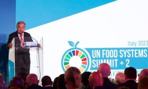 UN, Food, United Nations, Antonio Guterres, Ukraine, Russia, Black Sea, Grain, Obese, Hunger, Finance, New York, Gas, Greenhouse, Food and Agriculture Organization, FAO, World Food Program, WFP