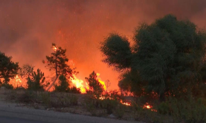 Wildfires Rage in Tunisia