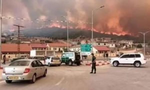 Algeria, Wildfire, Fire, Summer, Heatwave, Bejaia, Bouira, Jijel, Interior Ministry, Property, Algiers,