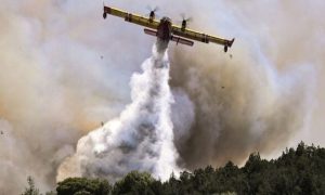 Greek, Island, Wildfire, Plane, Firefighting, Evia, Pilots, Air Force, Tourist, Greece,