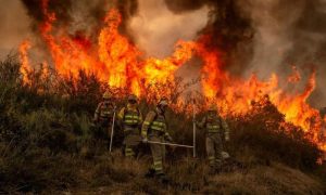 Mediterranean, Wildfires, Heatwave, Greece, Croatia, Italy, Algeria, Climate Change, European Union, Rhodes, Corfu, Evia, Government, Weather, America, Europe,