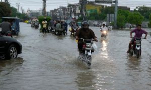 Rains, Monsoon, Pakistan, Flood, India, Kasur, Water, Lahore, Punjab, South Asia, Rainfall, Summer, Crops, Weather