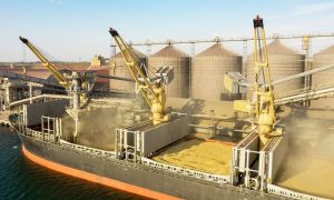 Wheat, Prices, rates, Russia, military, Ukraines, vessels, ships, ports, Moscow, European, stock exchange, supplies, agreement,