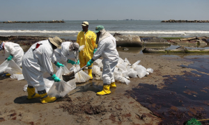 Beach Clean up After Oil Spill in Gulf of Mexico