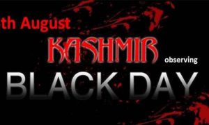 Black Day, Posters, IIOJK, Youm-e-Istehsal-e-Kashmir, Black Day, Articles 370 and 35A, Kashmir Valley,