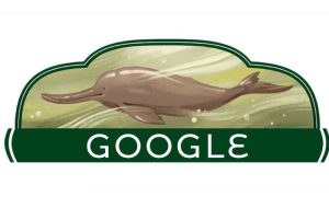 Google, Indus, Dolphin, Doodle, Charm, Pakistan, Independence