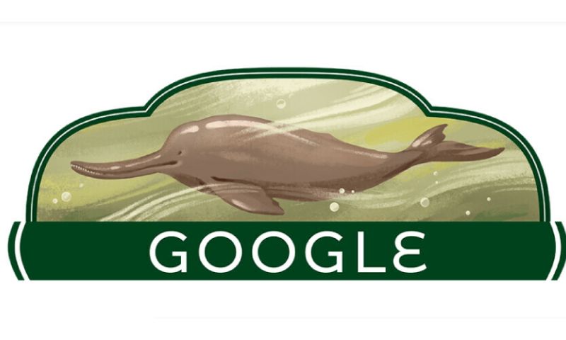 Google, Indus, Dolphin, Doodle, Charm, Pakistan, Independence