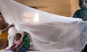 Malaria, Report, Financing, Mechanism, Effective, Mosquito, Prevent