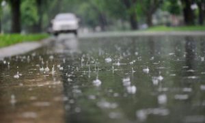 Rain, Thundershower, Wind, Thundershower, Country